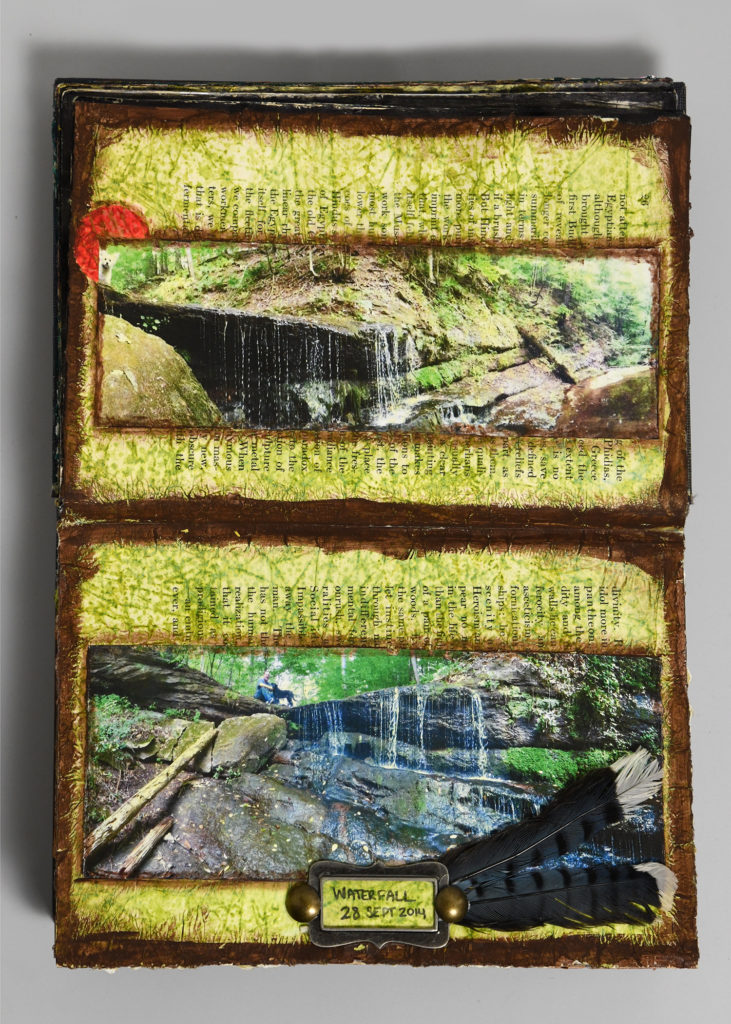 personal journal entry, 10x7 full spread, mixed media, waterfall scenes with small white dog photobombing