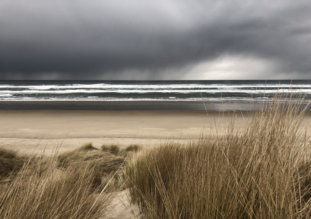 view from grassy bluff of coastline in Oregon Pacific North West, with stormy sky and breaking surf along the beach